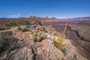 hiking the grandview trail in the grand canyon national park, arizona, usa