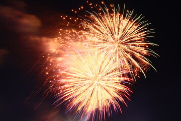 Captivating Midnight Fireworks Display - A Stunning Blend of Beauty and Mystery