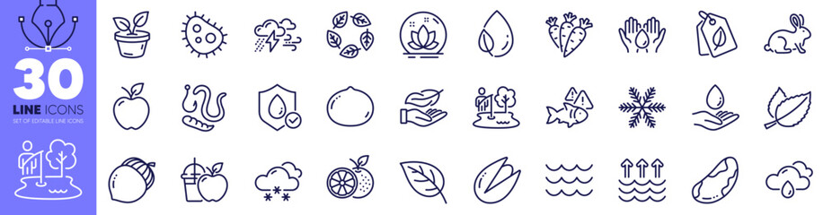 Bacteria, Pistachio nut and Leaf dew line icons pack. Bio tags, Organic tested, Carrots web icon. Snow weather, Water care, Snowflake pictogram. Orange, Fishing place, Brazil nut. Vector