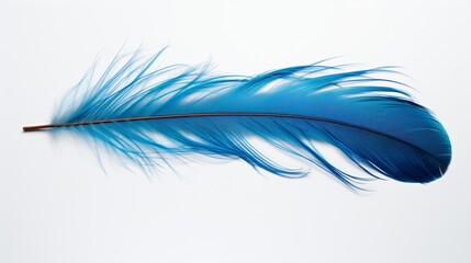 An intricate feather from a kingfisher, with its brilliant blue hues, showcased on a white backdrop.