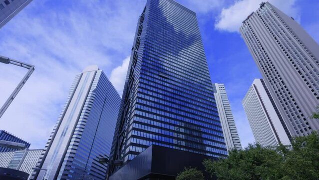 新緑が綺麗な西新宿高層ビル群