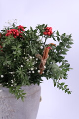 Christmas Market showcase with winter new year flowers holly berry Kokina. Christmas concept. Turkish traditional winter new year flowers