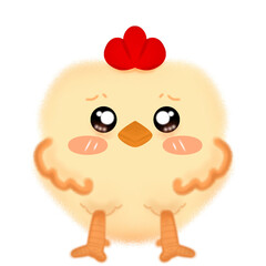 Chick baby​