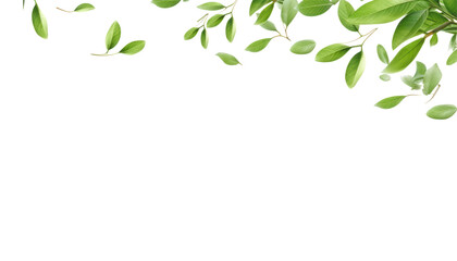 flying green leaves isolated on transparent background cutout - obrazy, fototapety, plakaty