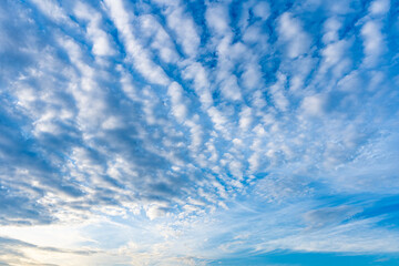 Fototapeta premium 青空に浮かぶ巻積雲