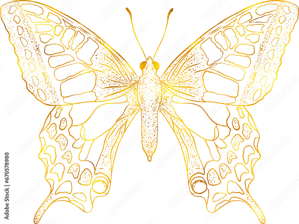 Poster butterfly with golden effect.