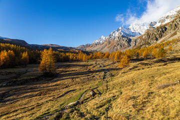 Alpe Devero