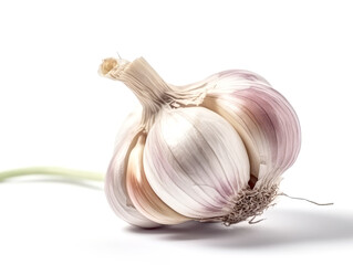 Garlic bulb isolated on white background cutout.