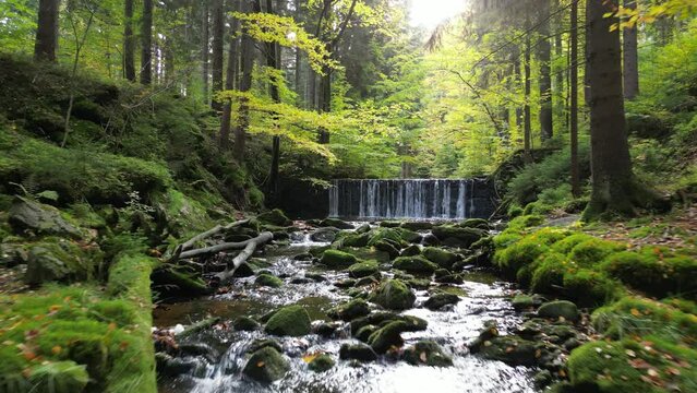 Waterfall in the forest