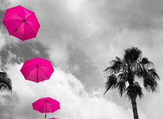 Fototapeta na wymiar three hung violet umbrellas with black en white background