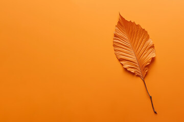 Autumn dried leaf on an orange background with copy space