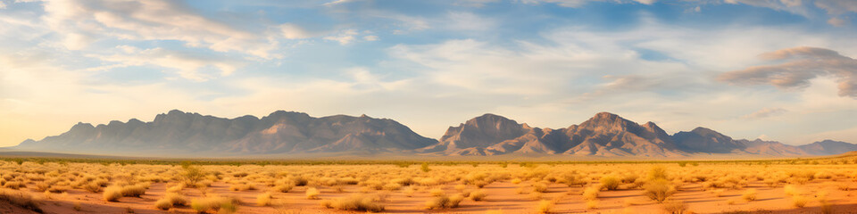 Arizona desert with cactus illustration background