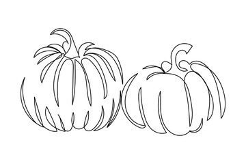 Continuous line art of pumpkins. Autumn harvest. Fresh fall fruits. Acorn, wheat, berries and mini pumpkins. Vegetables and fruits. Gourd line art. Thanksgiving. Fall harvest. Pumpkin festival vector