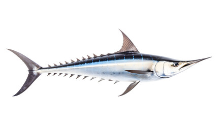 Fototapeta premium A transparent side view photo of a swordfish.