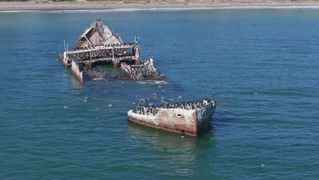 SS Palo Alto or Aptos Cement Ship, Aptos, California. Ship wreck covered with thousands of pelicans near the Californian coastline.