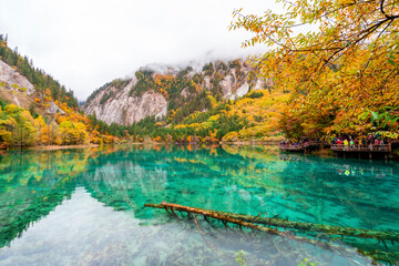 Beautiful autumn scenic view at five flower lake in jiuzhaigou national park