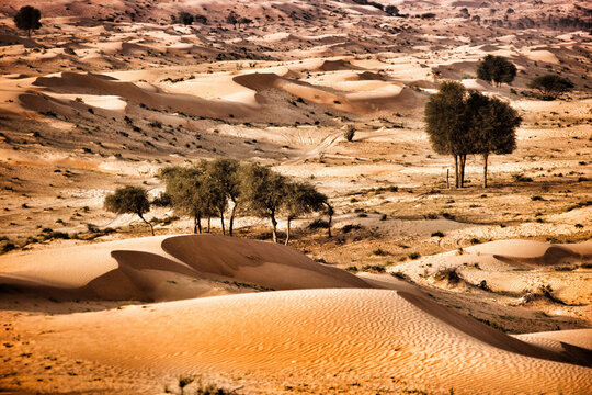 The Desert in Ras al Khaimah, United Arab Emirates, Asia