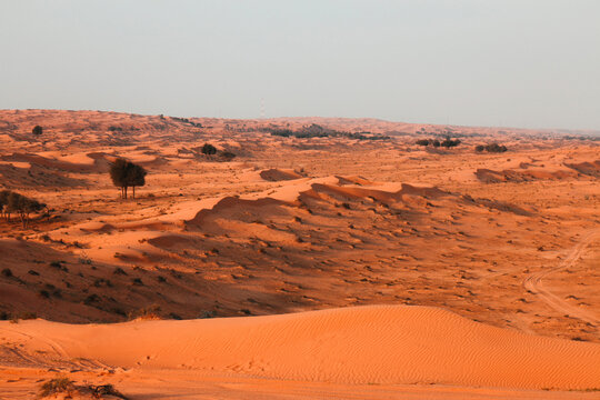 The Desert in Ras al Khaimah, United Arab Emirates, Asia