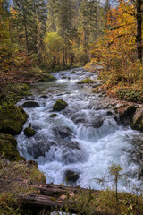Waldbach im Herbst
