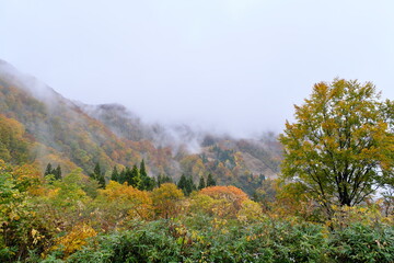 湯沢高原から見える景色、曇り　View from Yuzawa Plateau