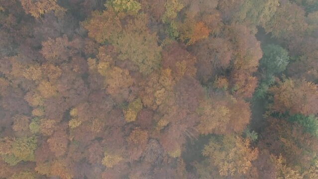 vista autunnale dall'alto sulle montagne delle alpi