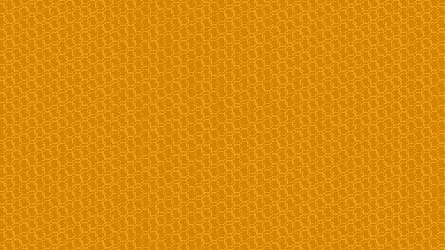 Loop Colorful Designs | With Color Controllers