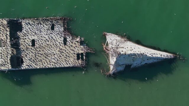 SS Palo Alto or Aptos Cement Ship, Aptos, California. Ship wreck covered with thousands of pelicans near the Californian coastline.