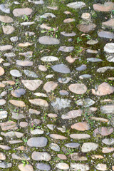 Old cobblestone pavement background texture