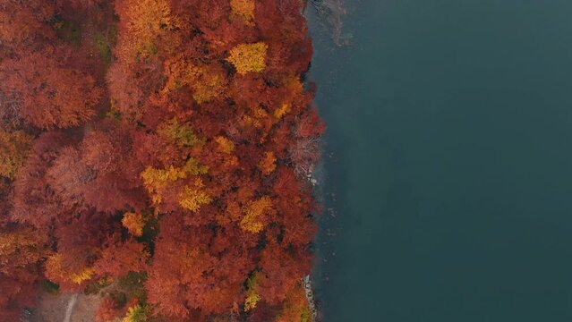 vista di un lago autunnale dall'alto sulle montagne delle alpi