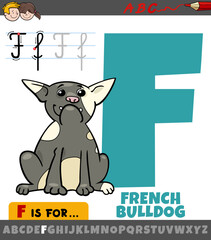 letter F from alphabet with French bulldog dog