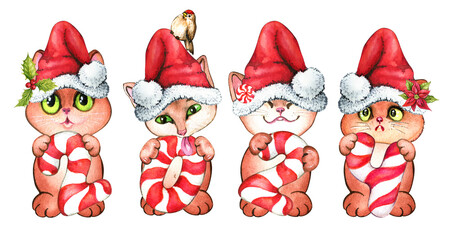 Christmas Cat. Christmas 2024. Merry Christmas. Watercolor Illustration