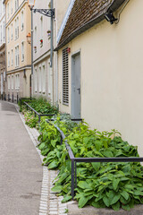 Urban greening in the center of Mulhouse department Haut-Rhin Elsace region in France