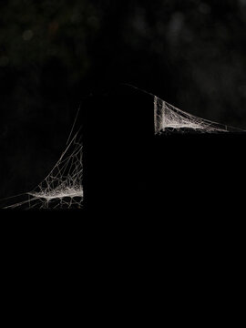 Black-and-white artistic picture of spiders web on a concrete fence post dramatically backlit