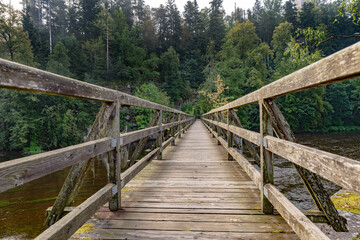 Wooden bridge over the river in the forest on a summer day