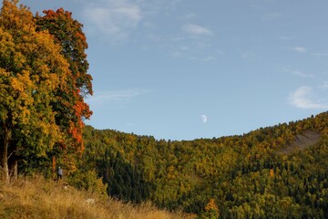 Fototapeta premium Idyllic image of autumnal foliage and trees under a moon in Svaneti, Georgia