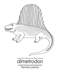 Dimetrodon, one of the earliest relatives of mammals, Permian period synapsid, black and white line art. Perfect for coloring and educational purposes.