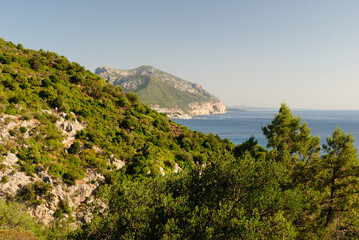 Fototapeta na wymiar Panorama dal sentiero di Cala Luna