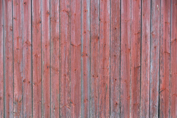 Photoshoot background of Wood Plank