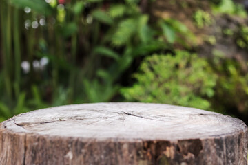 Empty old tree stump table top with blur green tropical garden background for product display