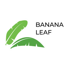 banana leaf logo icon vector symbol illustration design