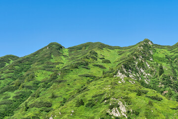 Fototapeta premium Beautiful mountain nature scenery