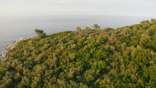 Aerial drone view of Paliouri Beach in Kassandra Sithonia penisula  Chalkidiki Greece Aerial drone view of Paliouri Beach Chrousso Village in Kassandra Sithonia penisula  Chalkidiki Greece