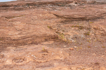 Vast desert plain with plant life, showcasing natural earth and climate.