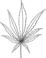 Simplicity cannabis leaf freehand drawing.