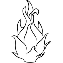 Obraz premium dragon fruit tropical fruit line art doodle illustration
