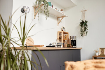 Background image of simple kitchen area interior in studio apartment decorated with green plants , copy space