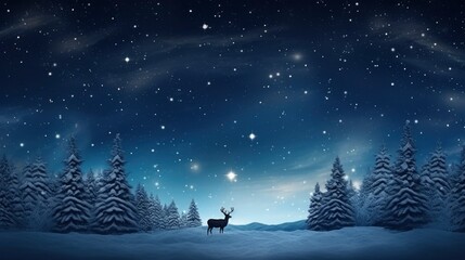 Obraz na płótnie Canvas christmas photo of Starlit Night a dark sky Mistletoe