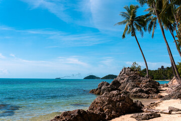 Fototapeta na wymiar Blue sea and white sandy beach with tall coconut palm and rocks bright sky.