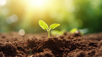 soil for planting with green blur and sunlight background. World Soil Day Generative AI