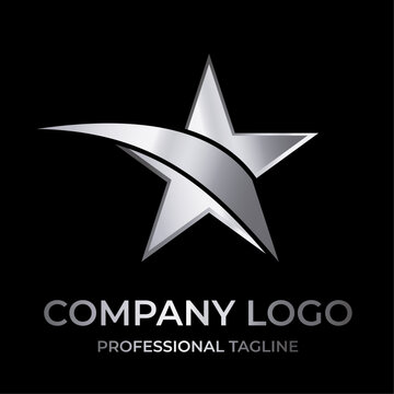 Vector luxury star logo with silver color. Elegant style star logo. Perfect for your company logo.